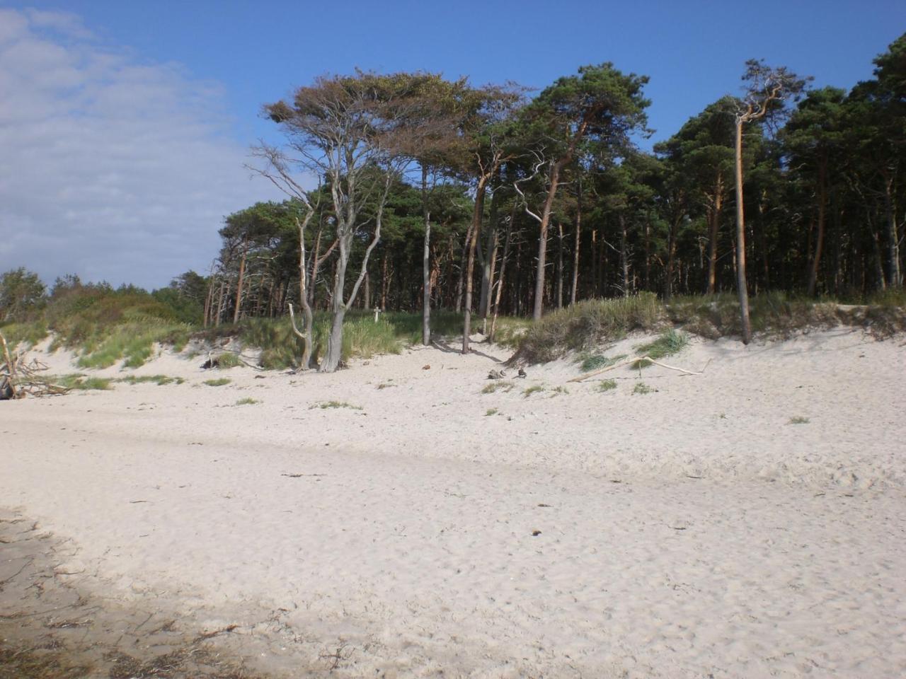 Achtern - Diek - Am Strand Zingst Bagian luar foto