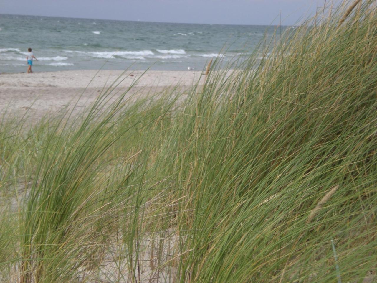 Achtern - Diek - Am Strand Zingst Bagian luar foto