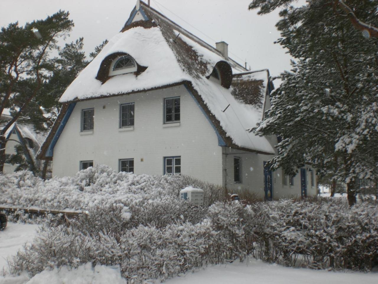 Achtern - Diek - Am Strand Zingst Bagian luar foto
