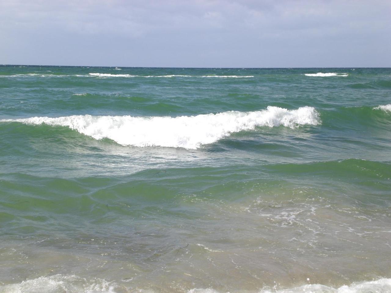 Achtern - Diek - Am Strand Zingst Bagian luar foto