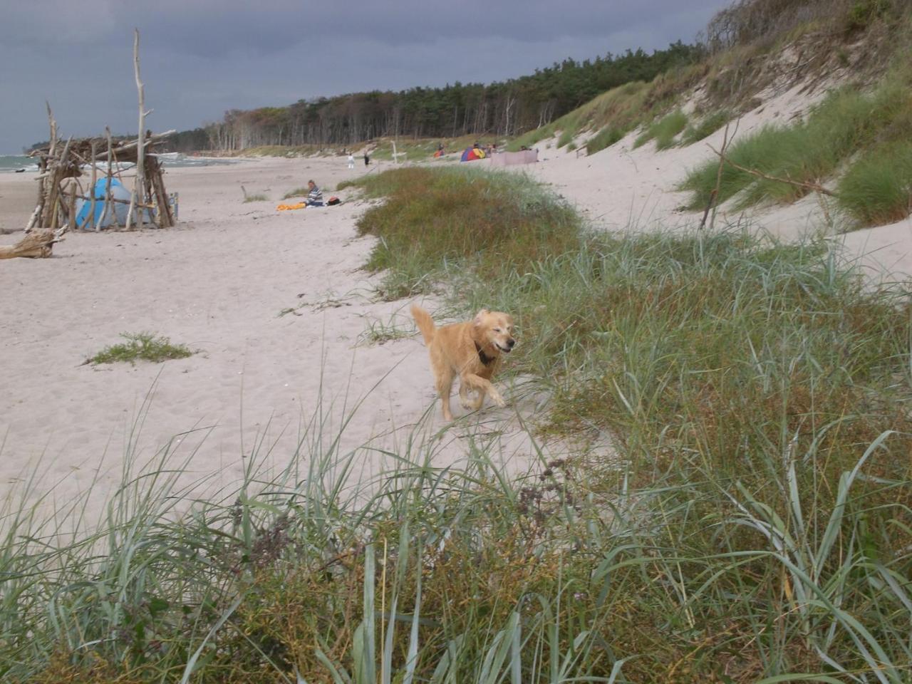 Achtern - Diek - Am Strand Zingst Bagian luar foto