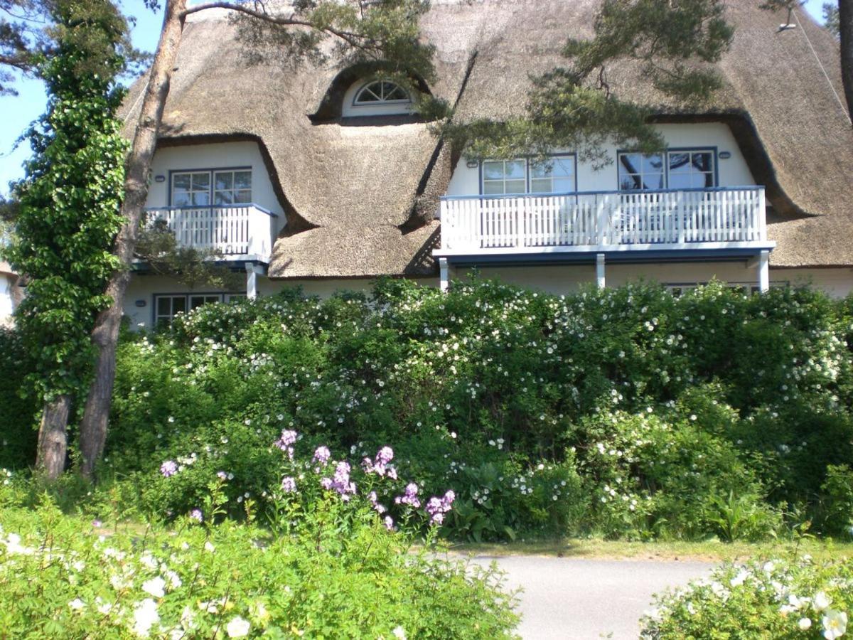 Achtern - Diek - Am Strand Zingst Bagian luar foto