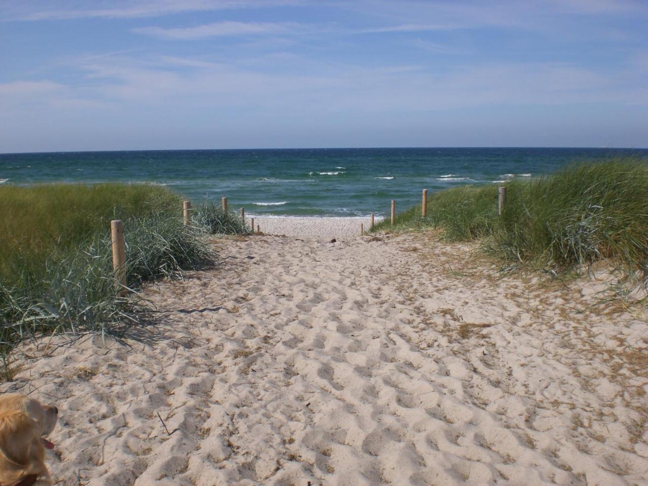 Achtern - Diek - Am Strand Zingst Bagian luar foto